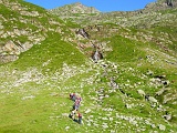 Capezz06 006